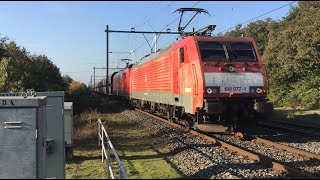 Coal Train at Blerick the Netherlands 🇳🇱 November 52024 [upl. by Oberg259]