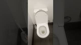 How to lift a toilet seat for dummies [upl. by Ponzo]