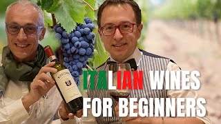 Italian wines for beginners  A beginner guide to Italian wines [upl. by Yelkao]