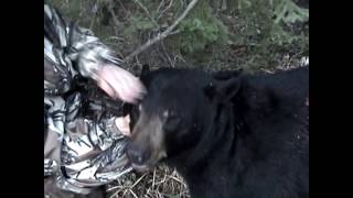 Youth Hunter Shoots Manitoba Record Book Bear with bow  Scores 19 1216 [upl. by Macknair]