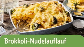 Brokkoli Nudelauflauf  REWE Deine Küche [upl. by Obbard]