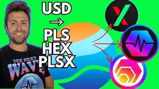 USA Unlocked PulseChain Update Best Crypto Exchange How To Buy PulseChain HEX and PulseX [upl. by Akemak]