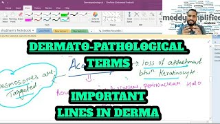 DermatoPathological Terms  Imp lines in derma  Acantholysis  Microabscess  Lines of Blaschko [upl. by Bailar]