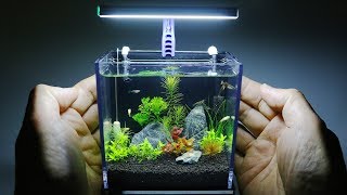 The Worlds Smallest Plant Aquarium 1 [upl. by Nnoryt]