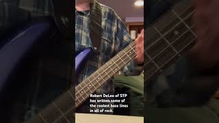 Interstate Love Song by Stone Temple Pilots bass cover [upl. by Yolanthe]