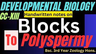 Blocks to polyspermy ll what is polyspermy blocks to polyspermy in developmental biology ll CCXIII [upl. by Blackmore]