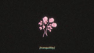 tranquillity  lofi hip hop beat FREE FOR PROFIT USE [upl. by Penoyer]