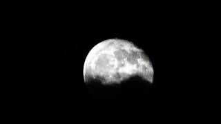 The First Lunar Calendar A 17000YearOld Mystery shorts [upl. by Ronny]