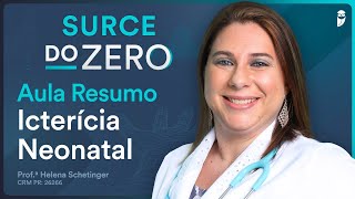 Resumo de Icterícia Neonatal  Aula do Curso Extensivo Residência Médica  SURCE DO ZERO [upl. by Nivar320]