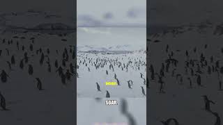 Penguins Masters of the Southern Seas and Evolutionary Wonders [upl. by Sorazal]