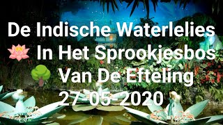 Efteling De Indische Waterlelies 🪷 In Het Sprookjesbos 🌳 Op 27052020 🤩😌 [upl. by Klehm588]