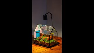 DIY tutorial make a micro mountain landscape in a vintage greenhouse shaope terrarium [upl. by Milo]