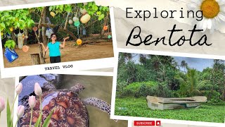 exploring bentota  srilanka 1 day trip  exploring turtle farm city  beach [upl. by Whitnell805]