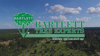 Careers in Arboriculture at Bartlett Tree Experts [upl. by Menendez]