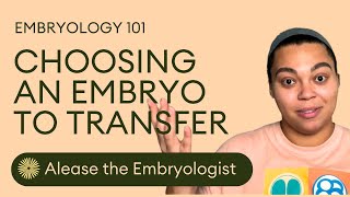 How To Choose Which Embryo To Transfer  Embryologist Explains Embryo Selection In The IVF Lab [upl. by Yelnats]