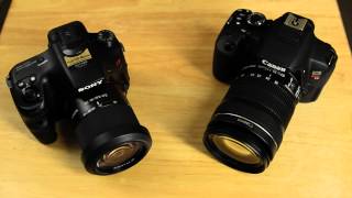 Sony A57 VS Canon T4i 650D [upl. by Hafler836]