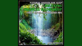 Natural Sounds for Sleep Relaxing Tropical Rainforest [upl. by Nrev209]