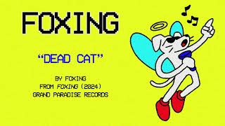 Foxing  Dead Cat Official Lyric Video [upl. by Rovit]