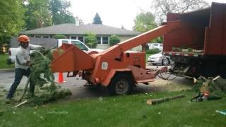 1980 ford wood chipper [upl. by Alix]