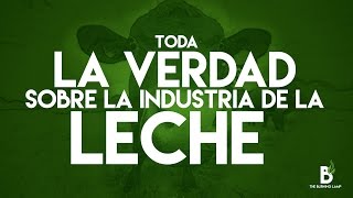 Toda la verdad sobre la industria de la leche Nuestra respuesta a la campaña quotMadrequot [upl. by Angus]