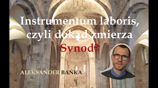 Instrumentum laboris czyli dokąd zmierza synod  Aleksander Bańka [upl. by Yahsed869]