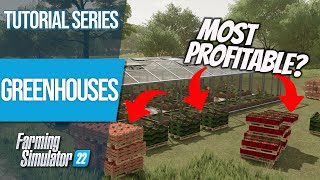 MOST PROFITABLE Greenhouse Crop  Farming Simulator 22  Tutorial Series [upl. by Kozloski]