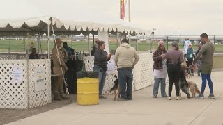 Dogs dawdle by their owners sides for annual event in Balloon Fiesta Park [upl. by Hgeilyak]