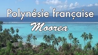 Polynésie Française Moorea [upl. by Lrem956]