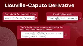 Modeling of the effects of chemotherapy on the state of a cancerous tumour by fractional derivatives [upl. by Uno328]