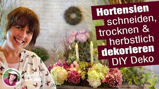 DIY Herstdekoration Hortensien schneiden dekorieren trocknen 2 Tischdeko Ideen selber machen [upl. by Brookhouse]