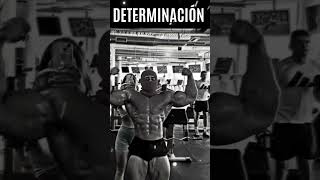 Video de motivación personal [upl. by Lalla]