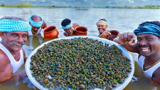 TINY SNAIL  Oomachi  Snail Hunting Cleaning Cooking and Eating in South Indian Village [upl. by Ahsitram]