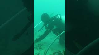 Metal Detecting in INDONESIA  Indian Ocean metal detector metaldetecting diving underwater [upl. by Retha794]