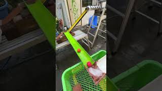 Water Marble Run ☆ Water Slide  Colorful Wooden Balls  Rain Gutters  Handmade Course 2 [upl. by Nitsirhc]