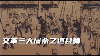 文化大革命25，湖南道县惨剧的前因后果，黑五类分子的惨痛经历。中国人在文革中的悲惨命运。华国锋做的一件善事。十年文革文化大革命 湖南 毛泽东华国锋中共中共国中共内斗文革 [upl. by Roosnam]