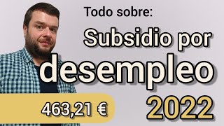 SUBSIDIO POR DESEMPLEO Ayuda 2022 Cómo solicitarlo [upl. by Hedvige]