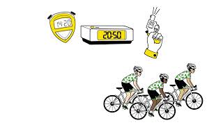 Essential information about Mallorca 312  Ok Mobility 2024 [upl. by Brion]