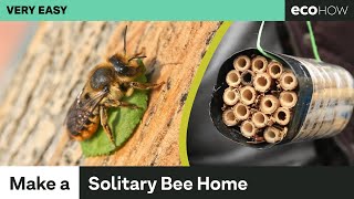 How to make a solitary bee home [upl. by Lapham]