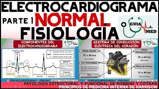 ELECTROCARDIOGRAMA NORMAL GUYTON  GuiaMed [upl. by Godliman491]