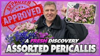 JFTV A Fresh Discovery PERICALLIS with Mike [upl. by Adlanor]