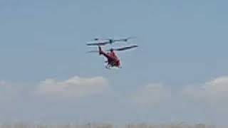 EFLITE BLADE CX2 Helicopter 1st outdoor flight [upl. by Dolly]