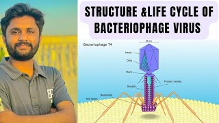 Structure of bacteriophage virus amp its life cycle Lytic cycle and Lysogenic cycle detailed lecture [upl. by Acilegna]