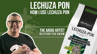 HOW TO USE LECHUZA PON  potting plants in pon [upl. by Sremmus833]