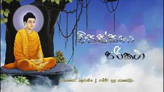 Vipassana Parikatha  විපස්සනා පරිකථා [upl. by Layton]