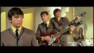 The Animals  House of the Rising Sun 1964 ♫ 60 YEARS 🎶⭐ ❤ [upl. by Daisy]