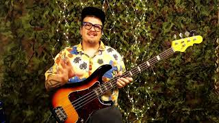 GampL LB100 TRIBUTE PBASS REVIEW wCzech subtitles [upl. by Gran]