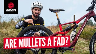 Mixed Wheel Vs 29quot Mountain Bike Wheels  The Wheel Size Debate Still Continues [upl. by Eenet]