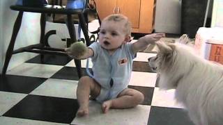 Dog Teaches Baby to Play Fetch with Her [upl. by Anihtyc]