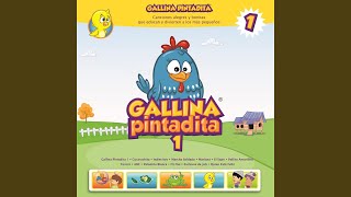 Gallina Pintadita 1 [upl. by Towroy]