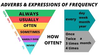 Mini lesson Adverbs and expressions of frequency Class 9 [upl. by Chuipek]